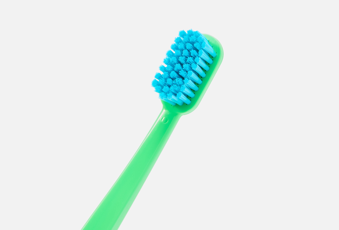 Most Americans neglect toothbrush replacement despite daily dental care
