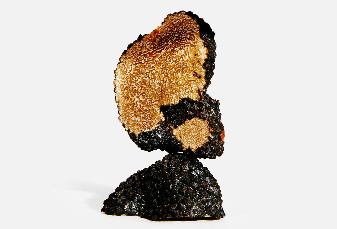 LOEWE EARTH 50 мл — фото 3