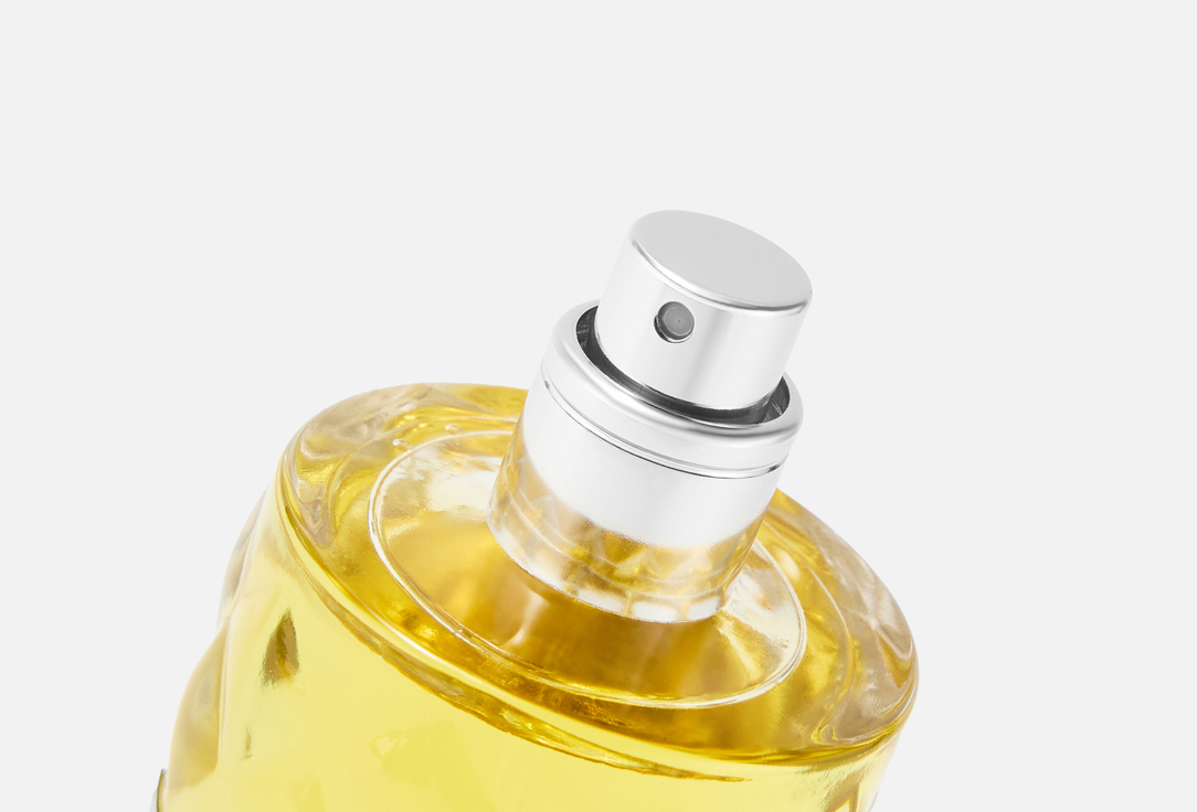 12 PARFUMEURS FRANCAIS MON ROI 50 мл — фото 3