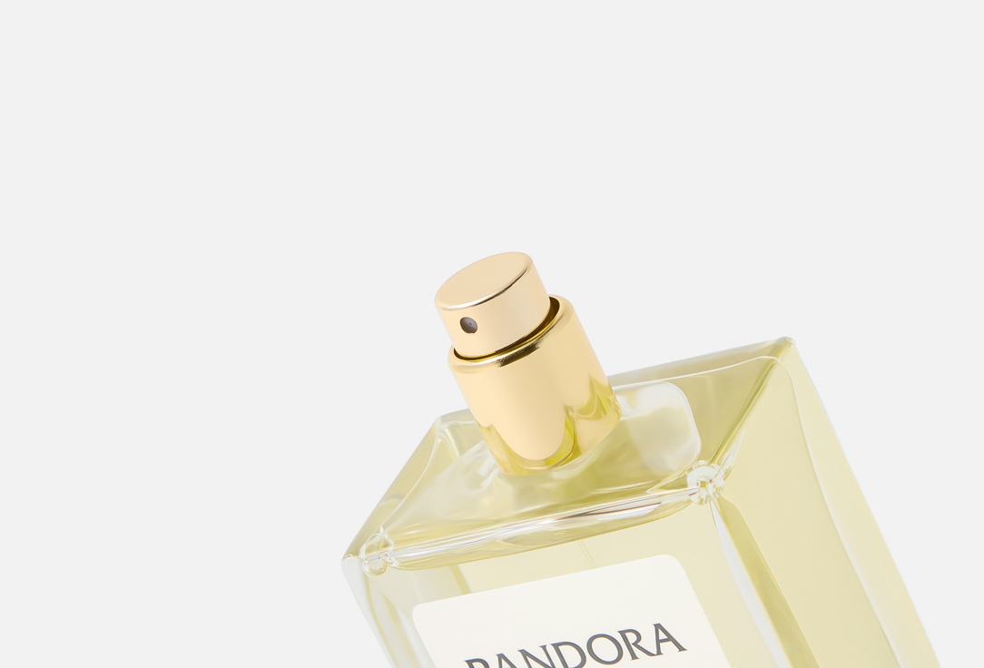 PANDORA Selective BASE 1513 80 мл — фото 2