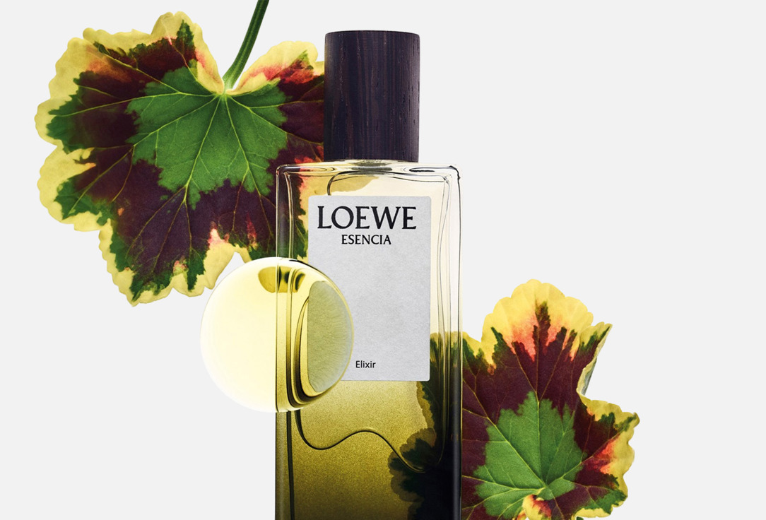 LOEWE Esencia elixir 50 мл — фото 4