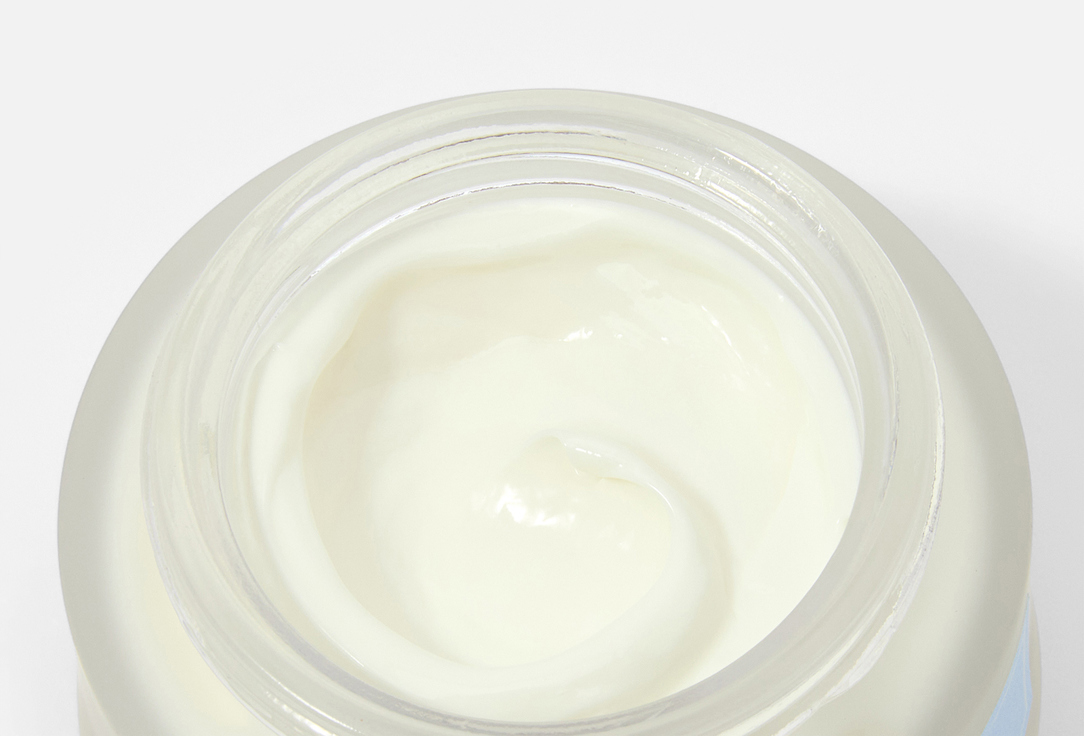 BEAUTY SPA NATURAL RESOURCES Citymoist Antipollution urbun cream 50 мл — фото 3