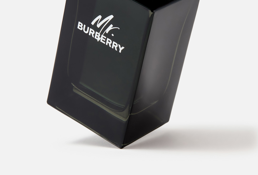MR.BURBERRY 100 мл — фото 3