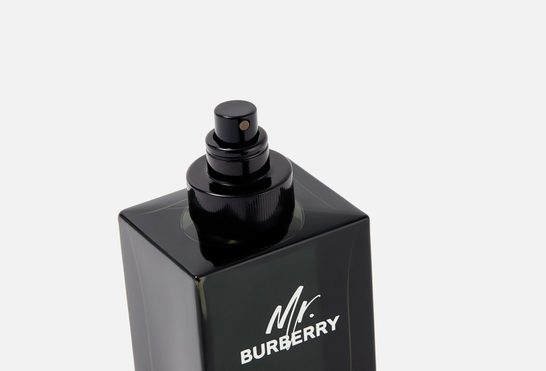 MR.BURBERRY 100 мл — фото 4