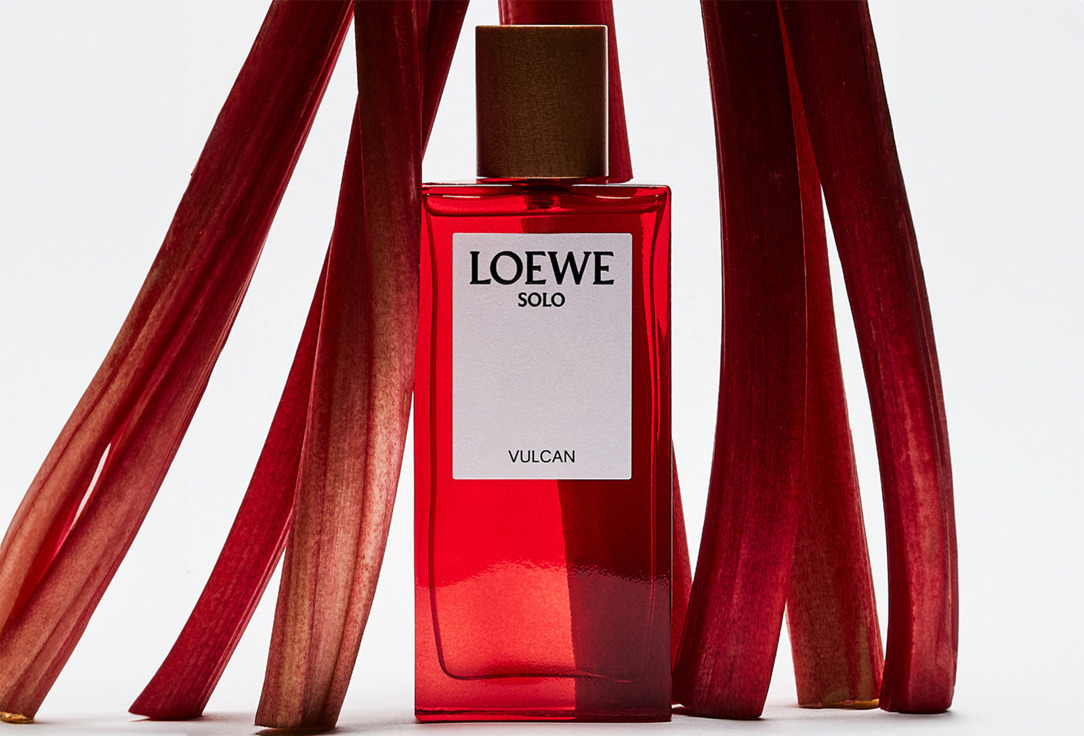 LOEWE Solo vulcan 50 мл — фото 4