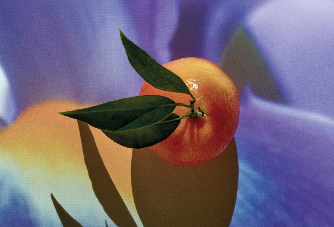 LOEWE Solo elixir 50 мл — фото 3