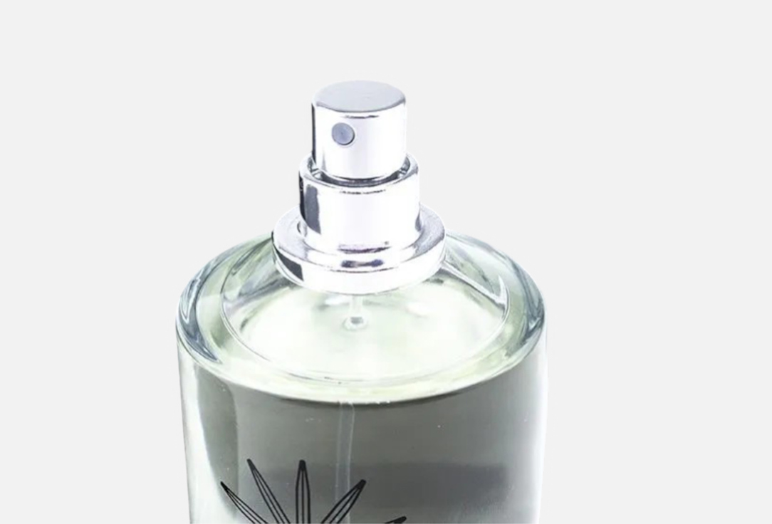 PARLE MOI DE PARFUM CEDAR WOODPECKER/10 100 мл — фото 3