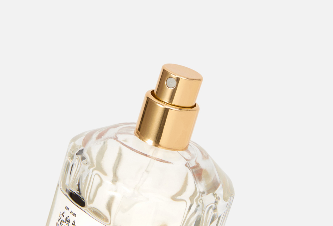 DEVINE PERFUMES Electric Vetiver 100 мл — фото 2