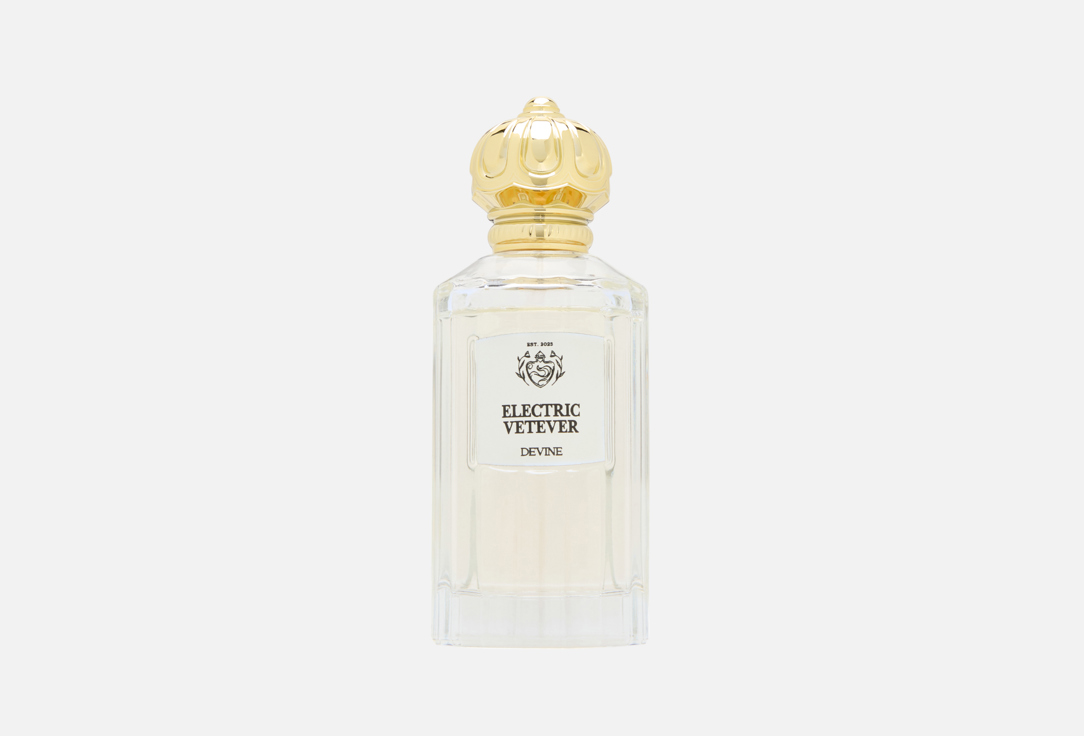 DEVINE PERFUMES Electric Vetiver 100 мл — фото 1