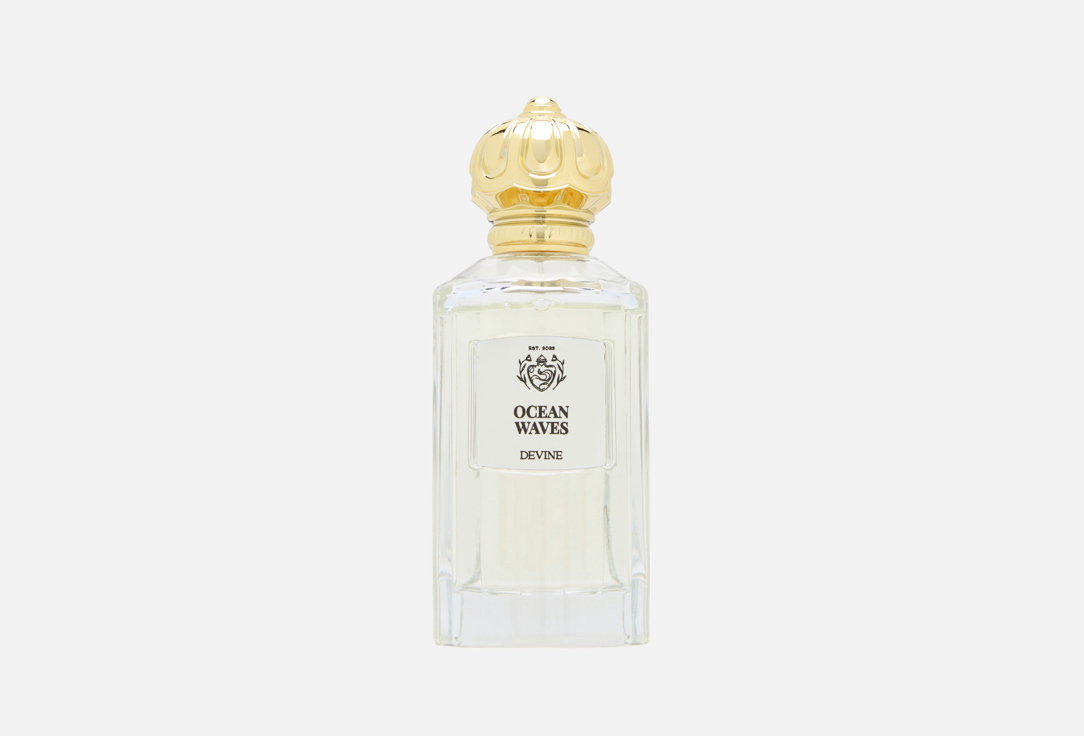DEVINE PERFUMES Ocean Waves 100 мл — фото 1
