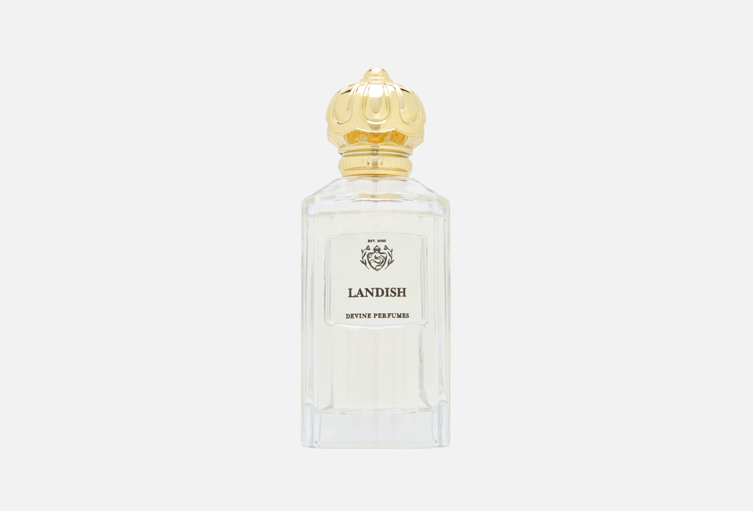 DEVINE PERFUMES Landish 100 мл — фото 1