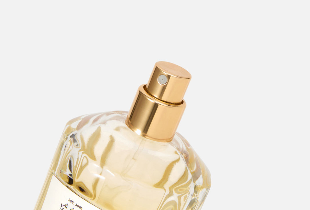 DEVINE PERFUMES Tobacco Bouquet 100 мл — фото 2