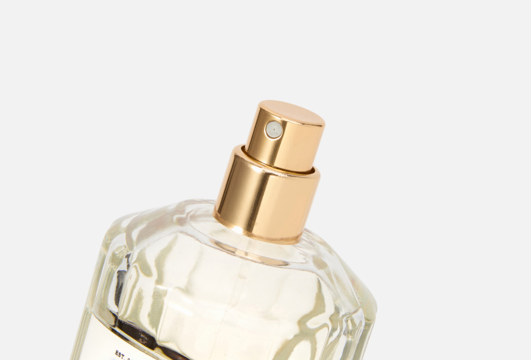 DEVINE PERFUMES Under the Eiffel Tower 100 мл — фото 2