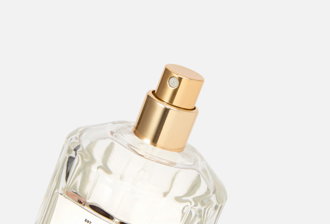 DEVINE PERFUMES Napoleon 100 мл — фото 2