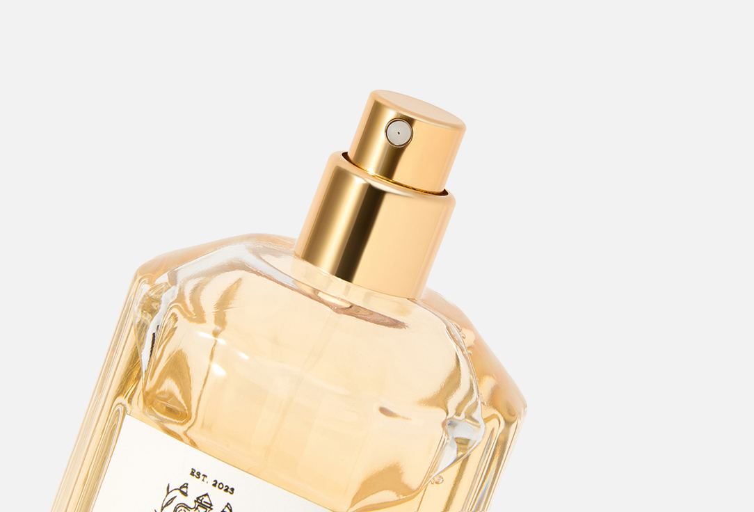 DEVINE PERFUMES Christmas in Paris 100 мл — фото 2