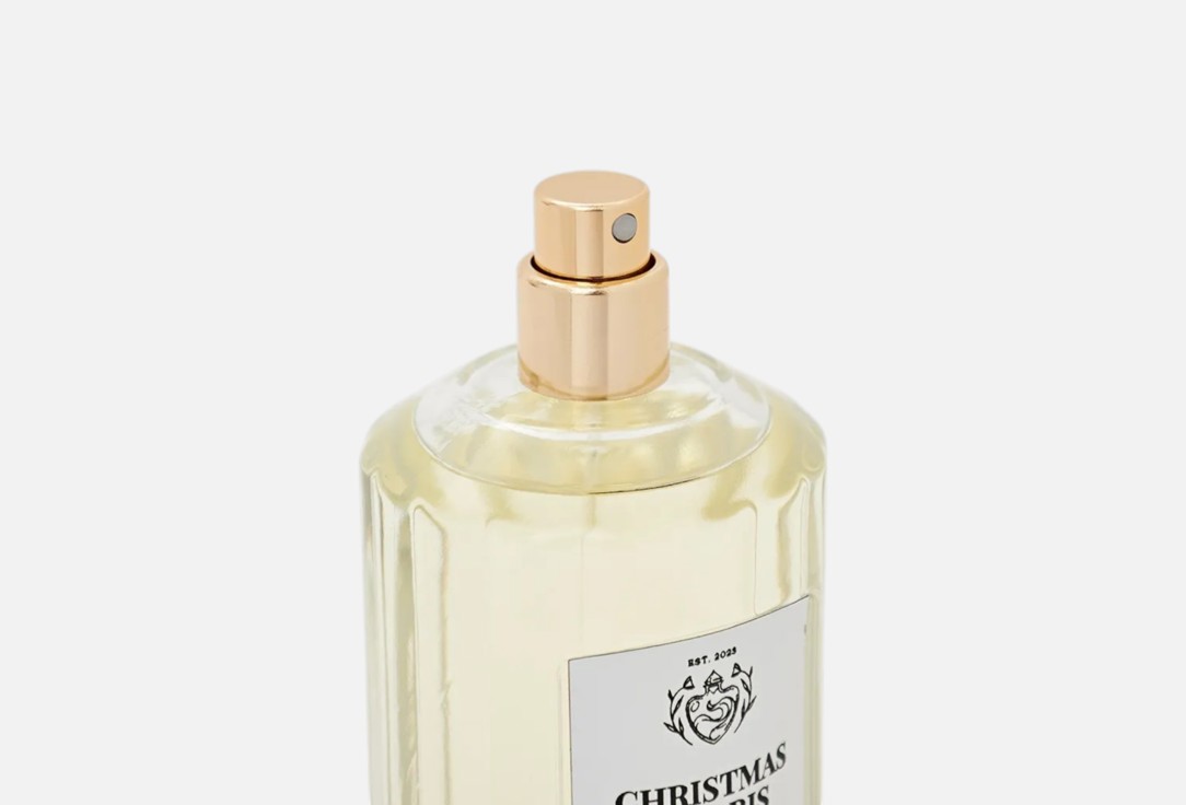 DEVINE PERFUMES Christmas in Paris 100 мл — фото 3
