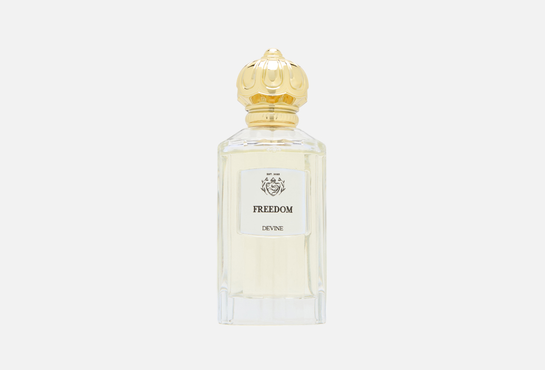 DEVINE PERFUMES Freedom 100 мл — фото 1