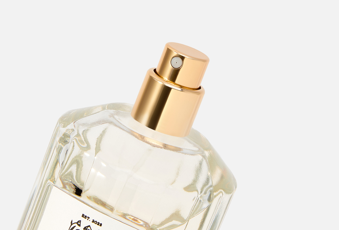 DEVINE PERFUMES A Night in Dubai 100 мл — фото 2