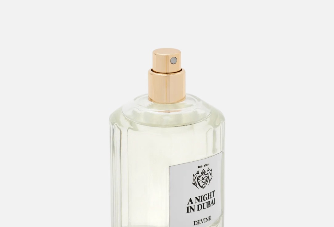 DEVINE PERFUMES A Night in Dubai 100 мл — фото 3